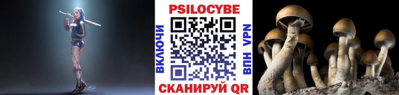 Галлюциногенные грибы MAGIC MUSHROOMS  Ленинск-Кузнецкий 
